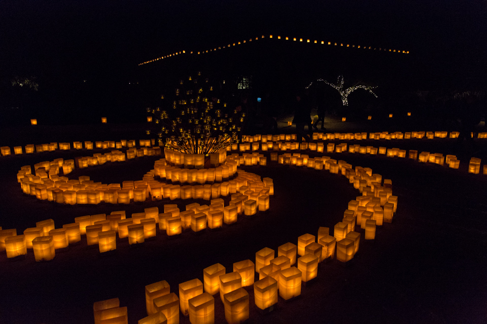 Luminaria