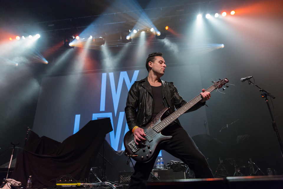 Guitarist