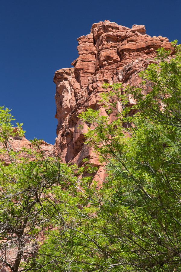 Hiking in the Canyon