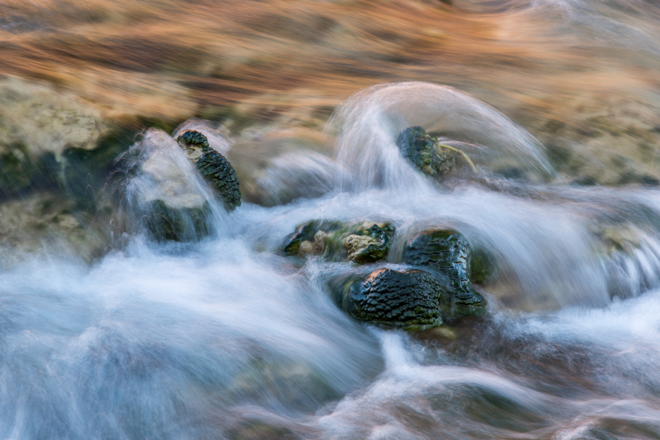 Water Halo