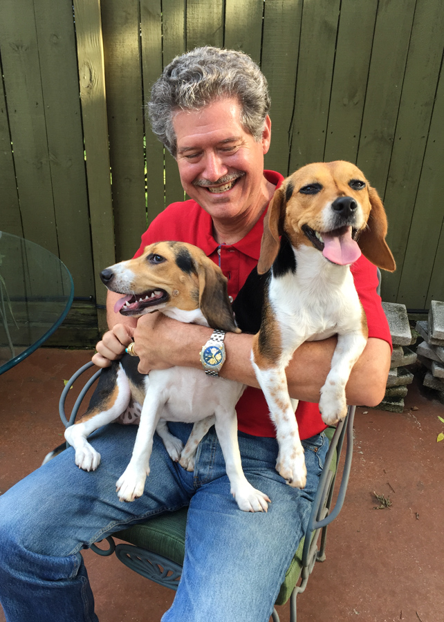 Handful of Beagles 