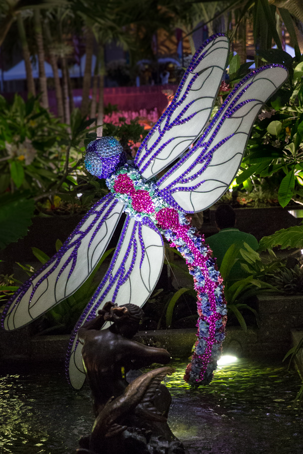 Dazzling Dragonfly
