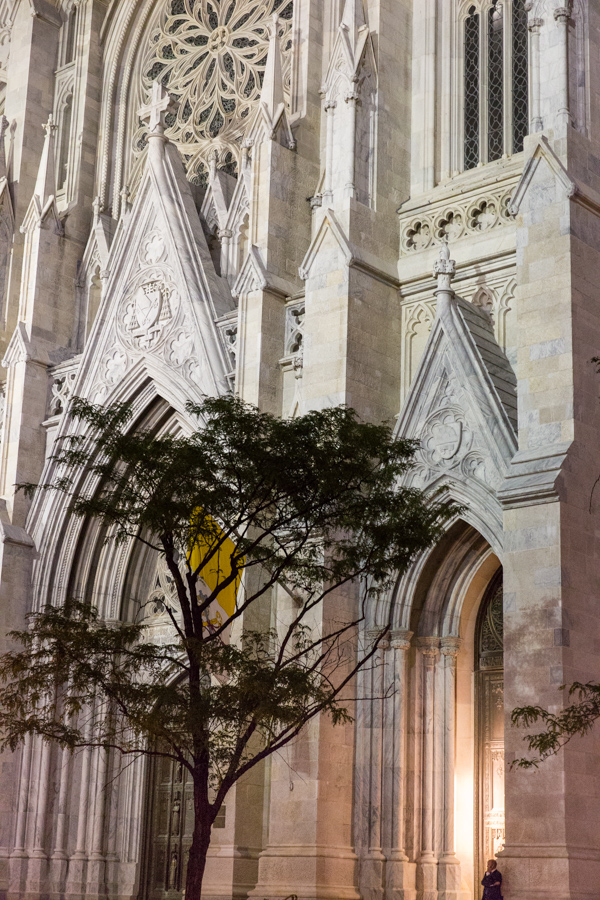New York Tree
