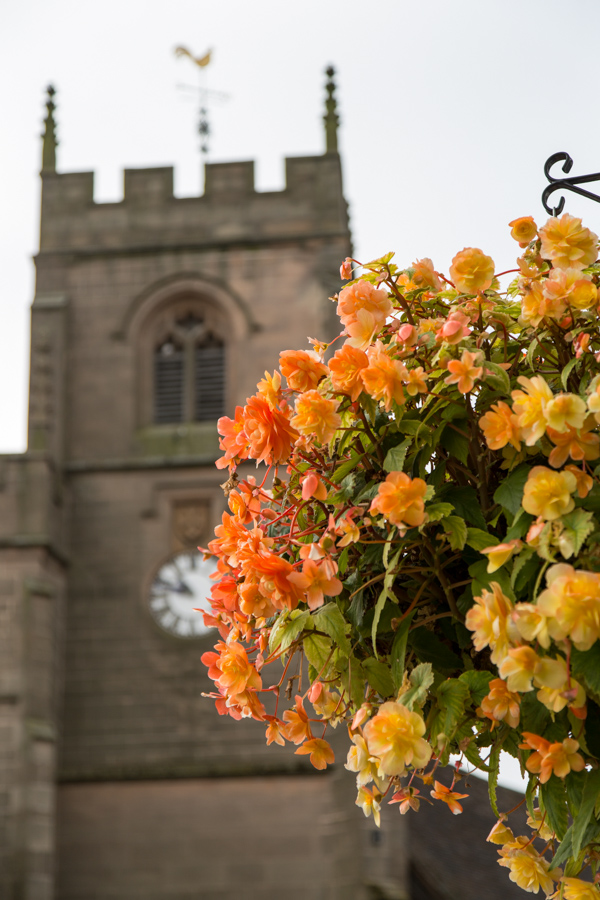 Old World Flowers