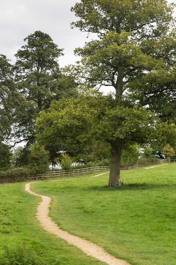 Path