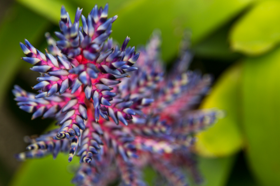 Red and Blue