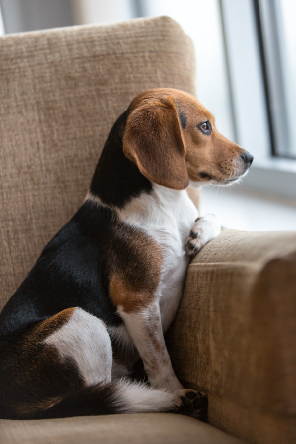 Watching the Rain