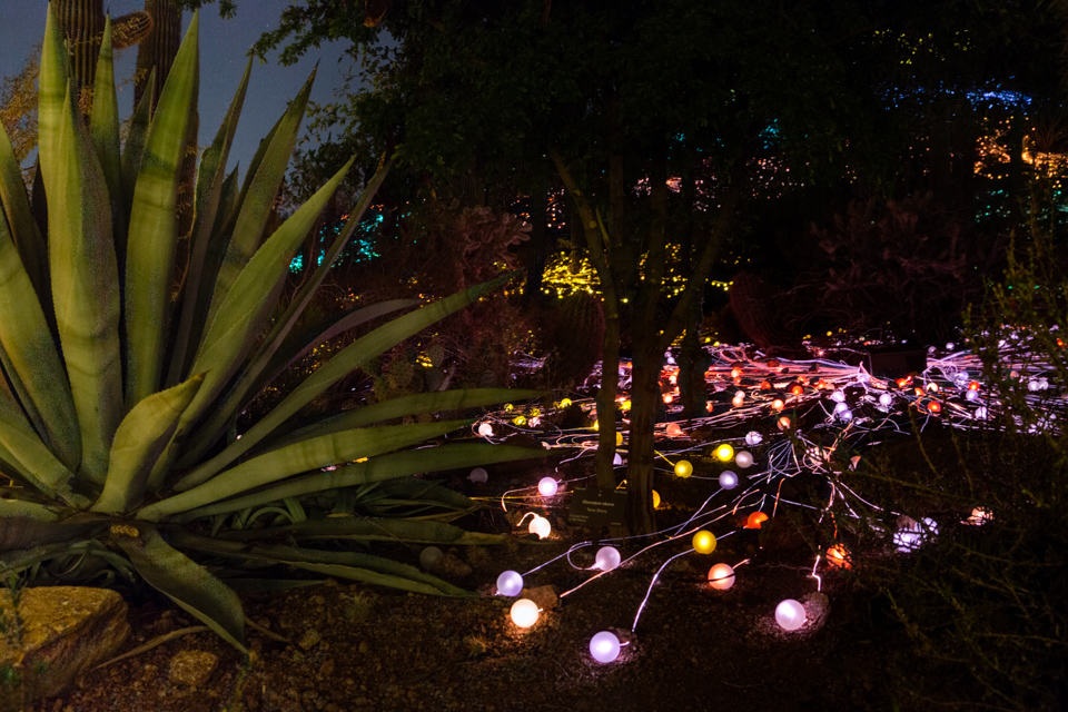 Lights Reaching