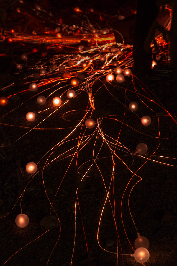Lava Flow