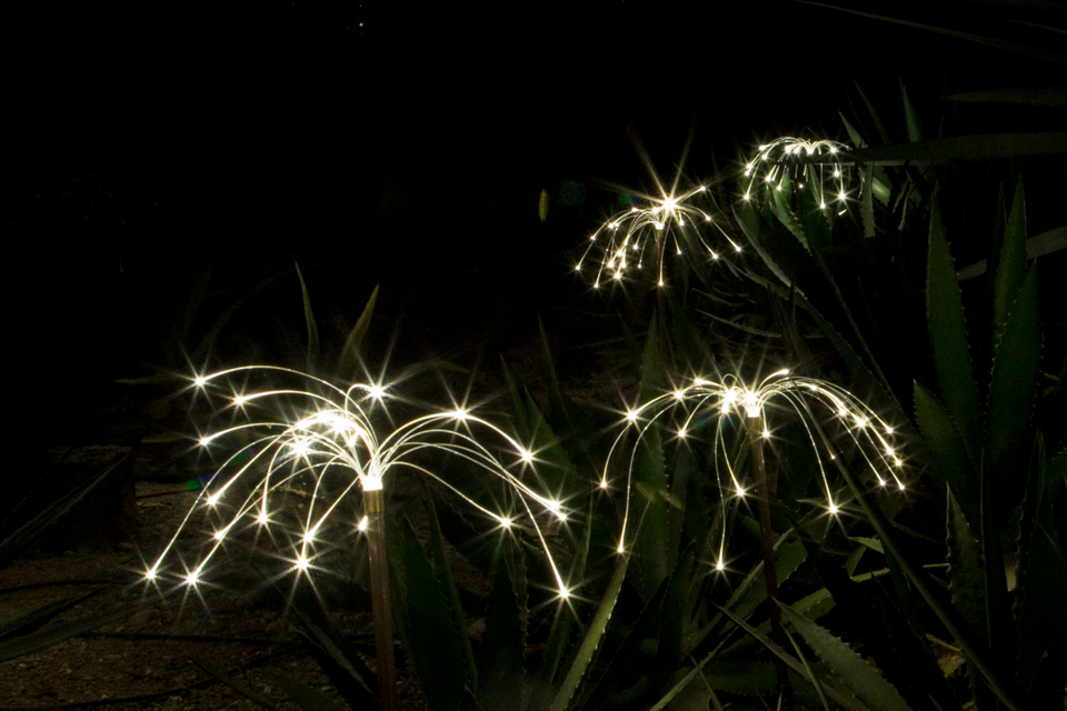 Fireflies