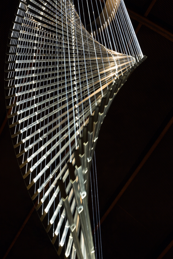 Twist of Light