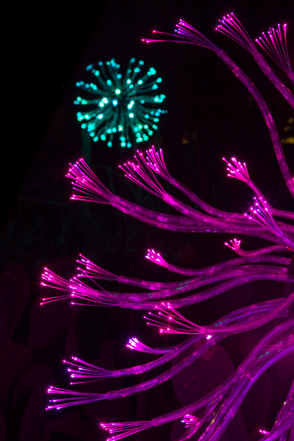 Light Blossoms 