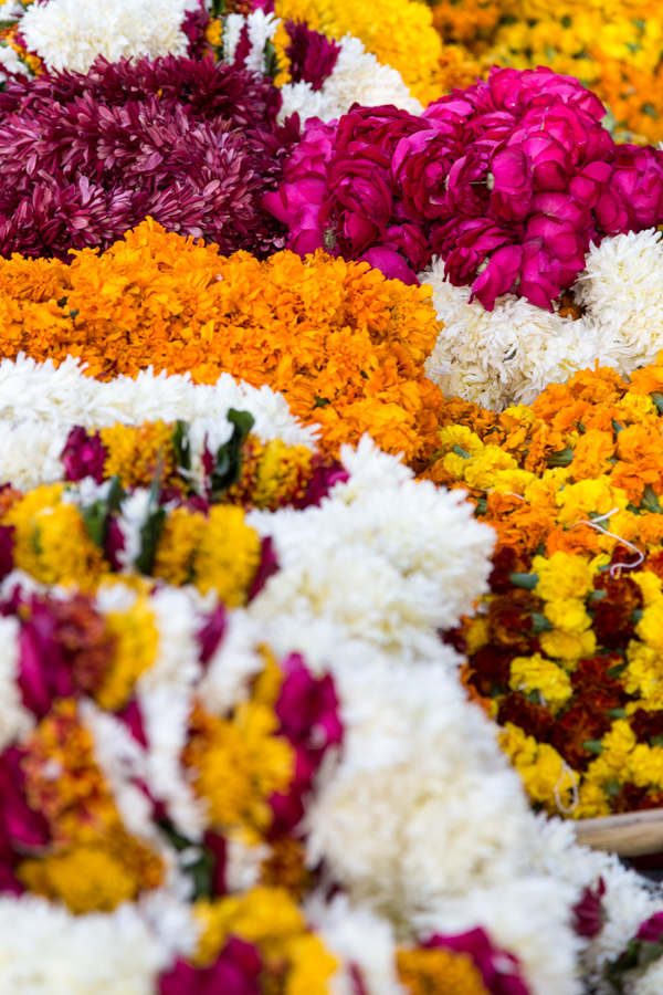 Leis
