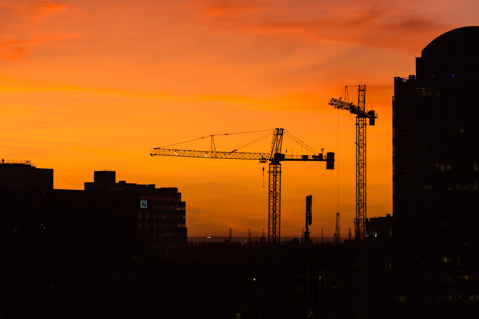 Cranes at Sunrise