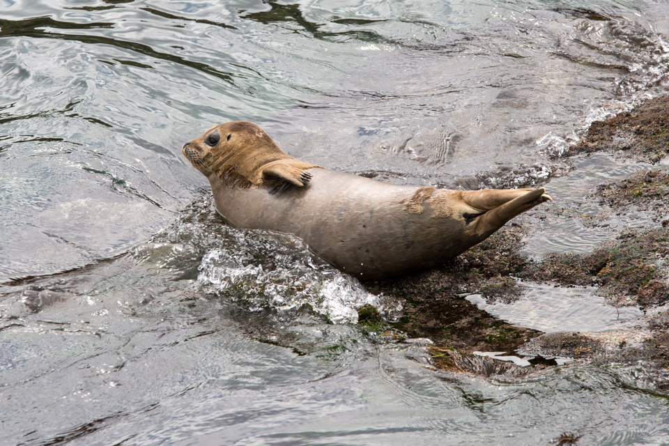 Whoa, That Water is Cold!