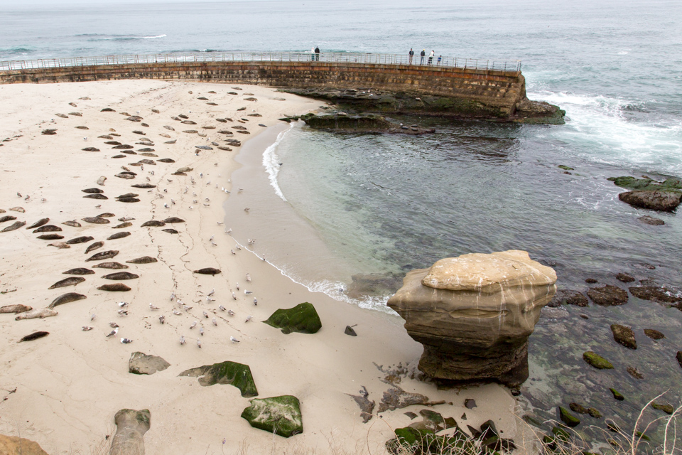 Children's Pool Beach