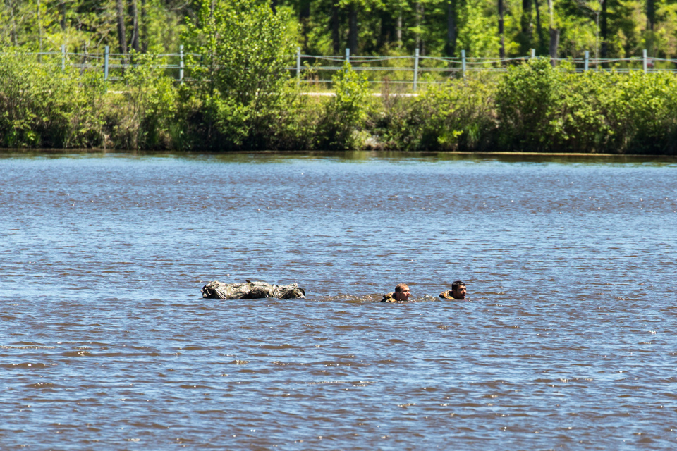 Out for a Swim