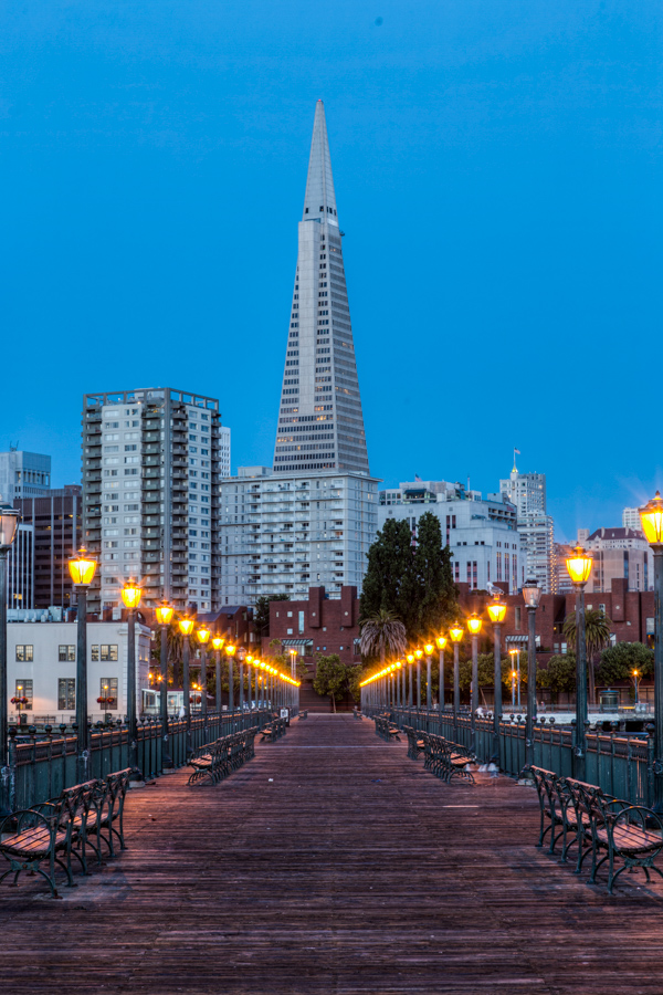 The View from Pier 7