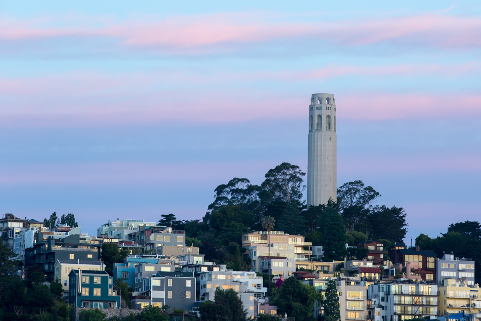Coit Colors