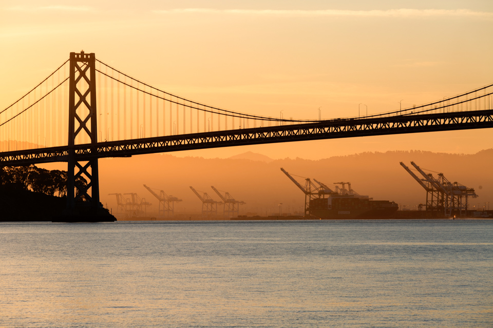 Dawn Cranes