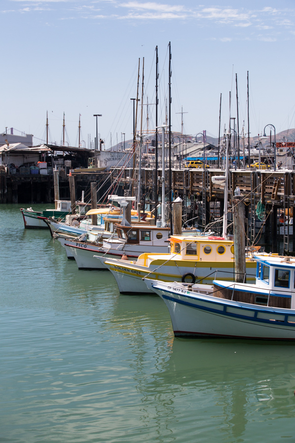 Fishing Fleet