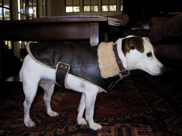 Styling