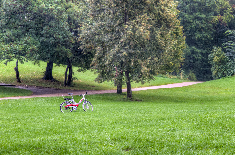 Bike in a Field