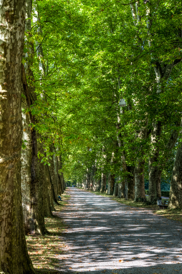 Platanenallee
