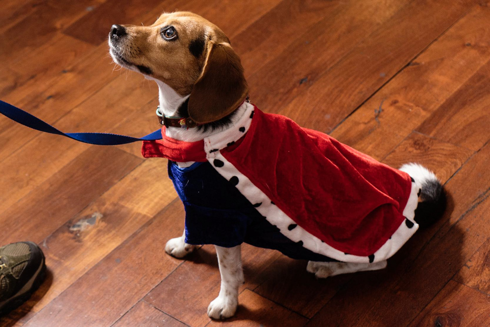 Nice Cape