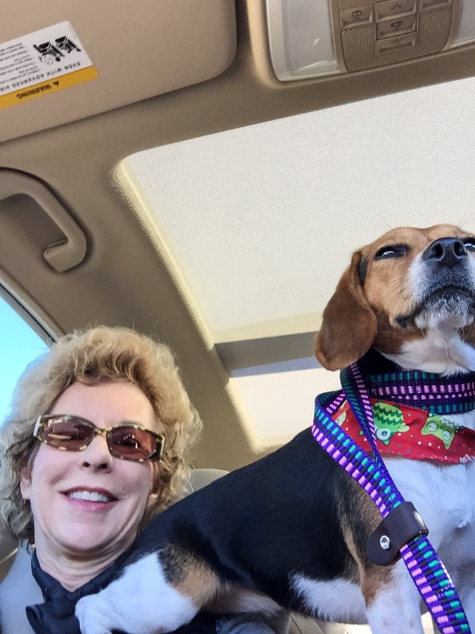 Riley on Shoulder