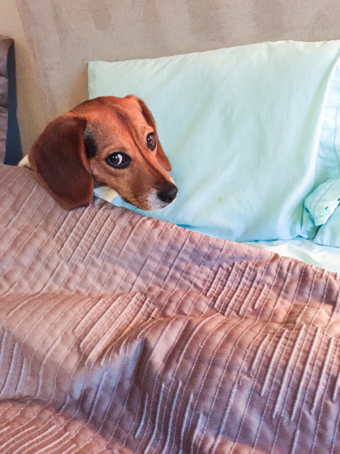Time for Bed?