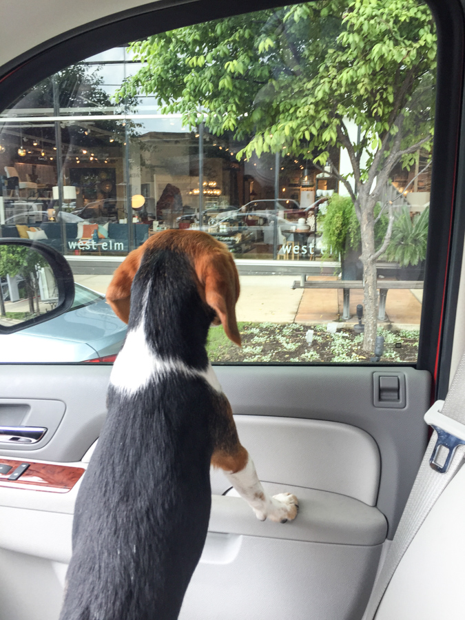 Window Shopping