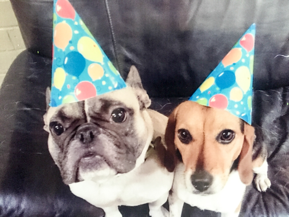 Birthday Party