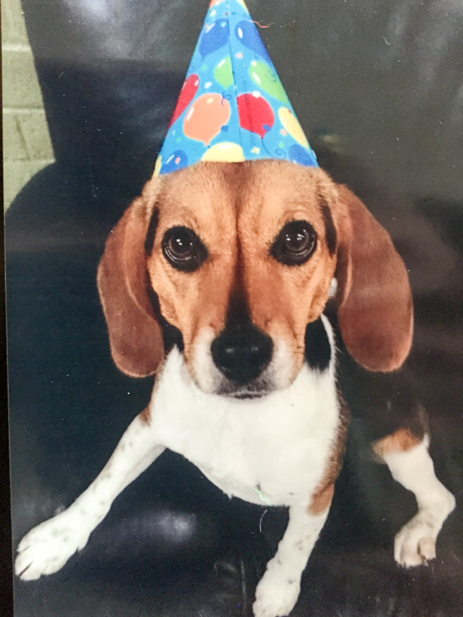 Party Girl