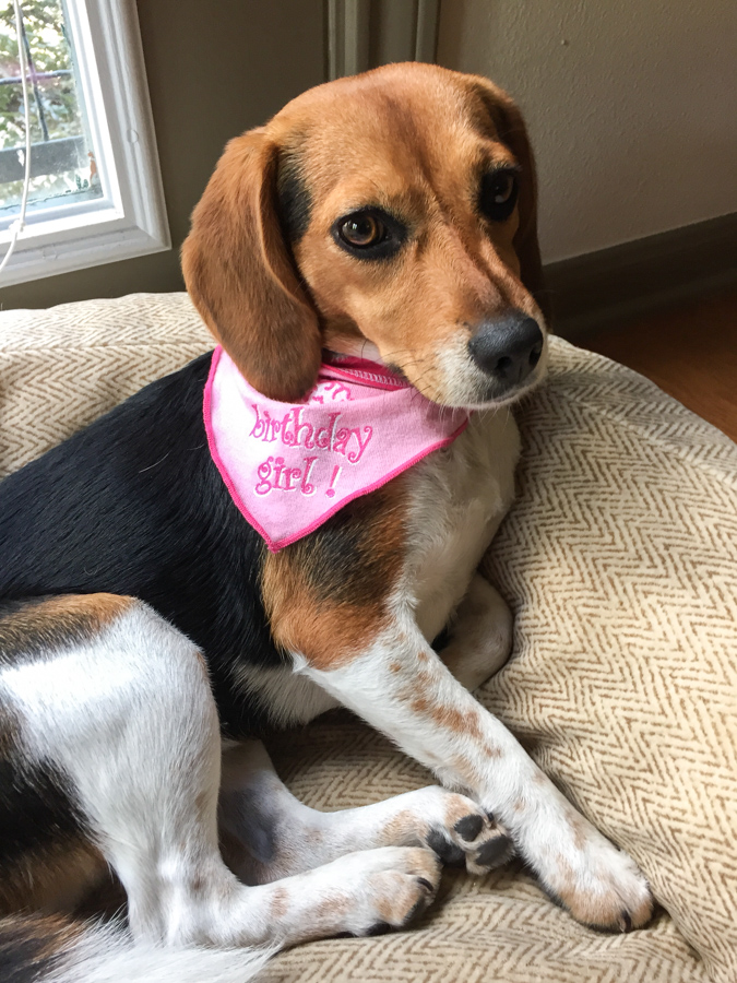 Birthday Girl