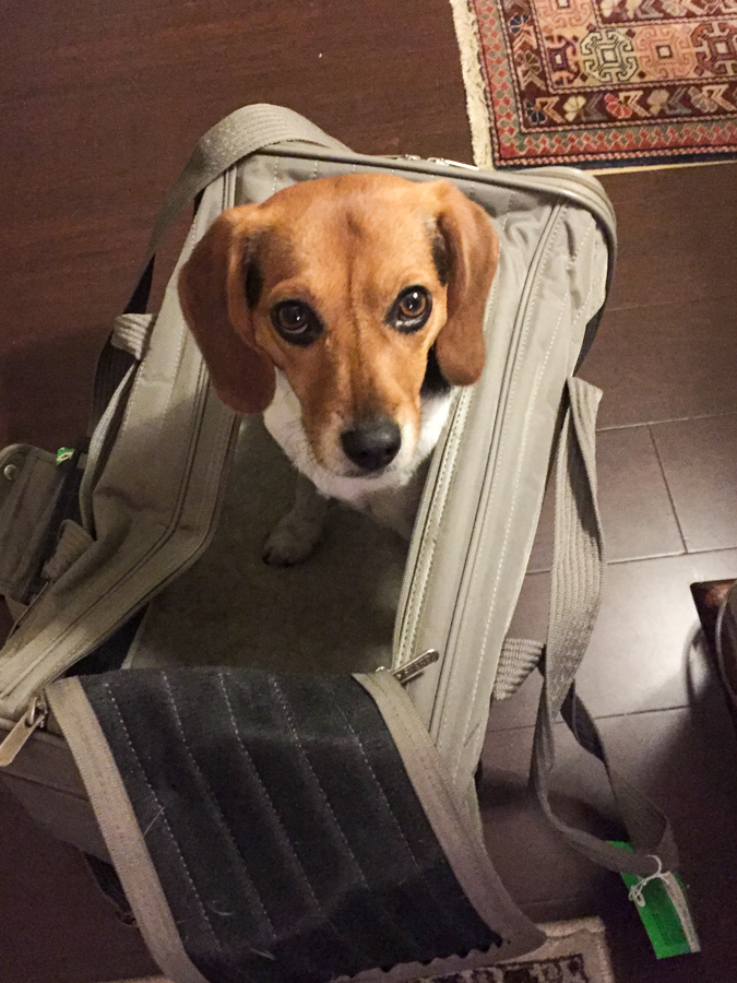 Ready to Travel