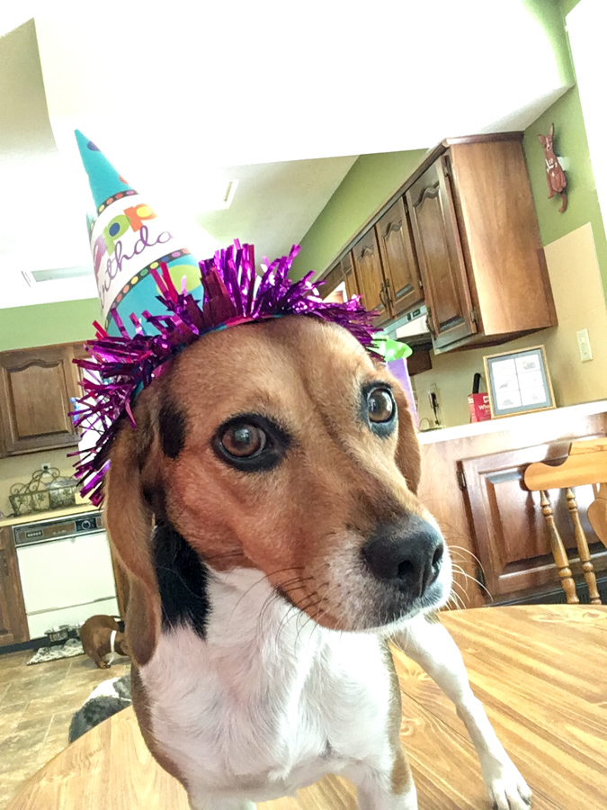 Birthday Hat