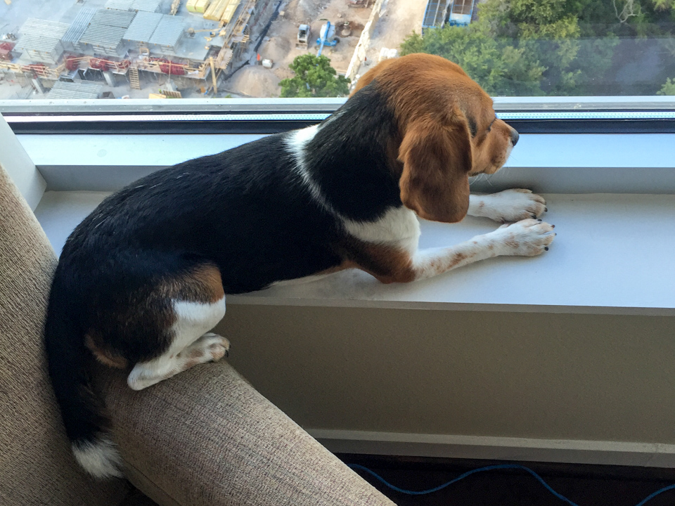 On The Ledge