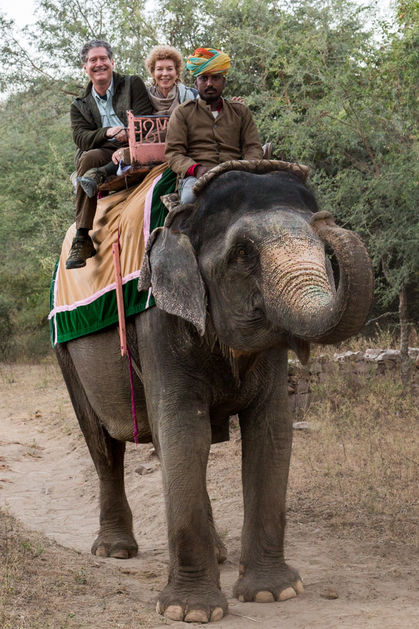 Elephant Ride
