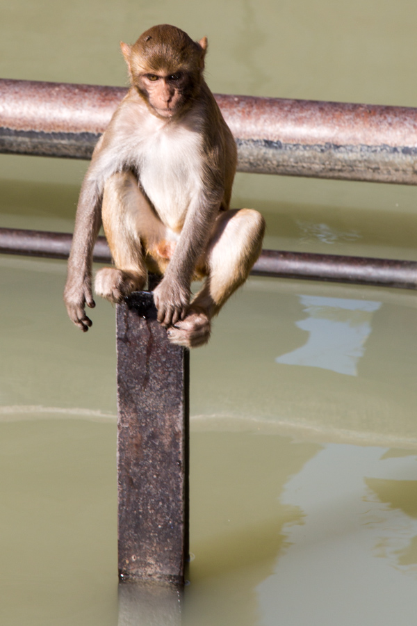 Balance
