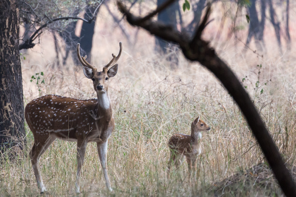 Mother and Child