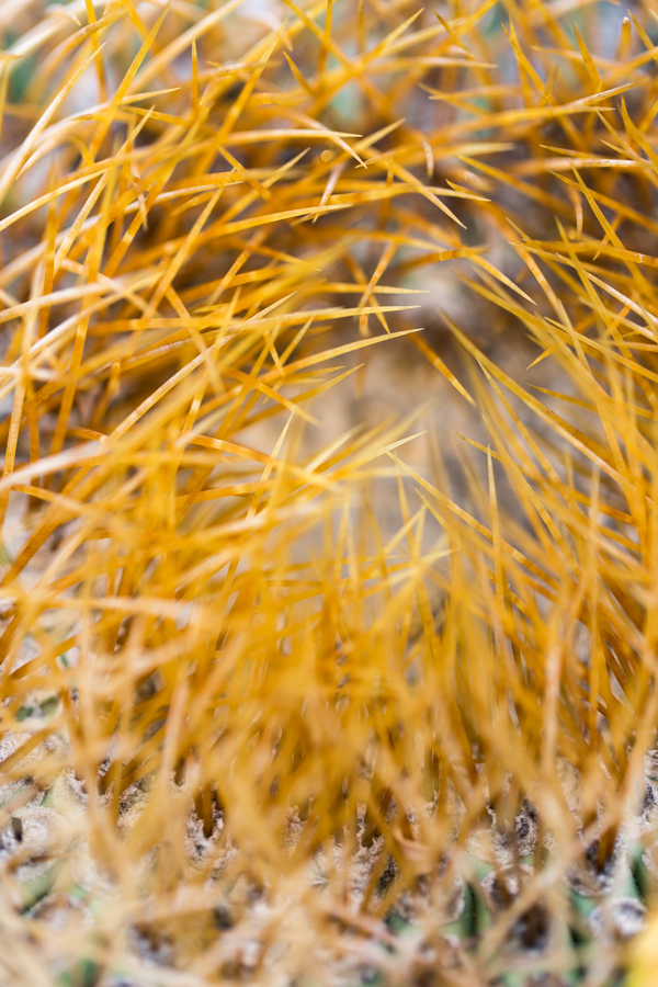 Sharp Nest