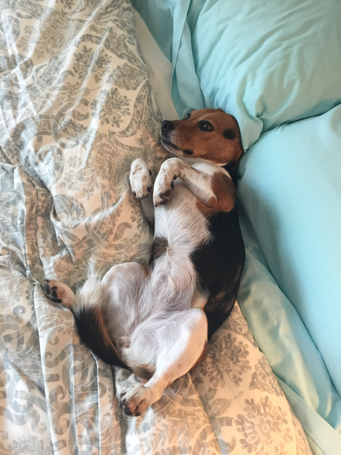 Comfortable in Bed