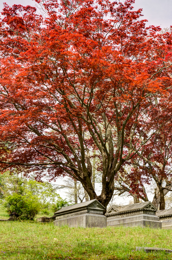 Red Graves