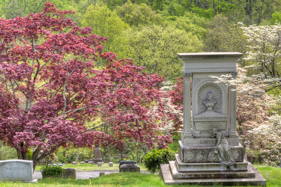 Dogwood Resting Place