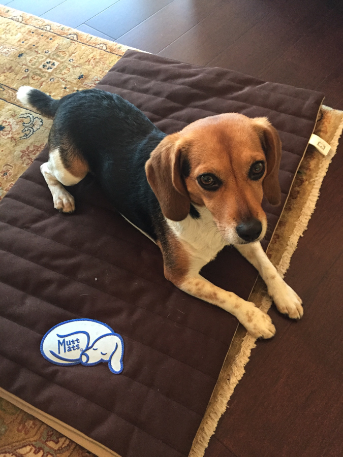 Mutt Mat
