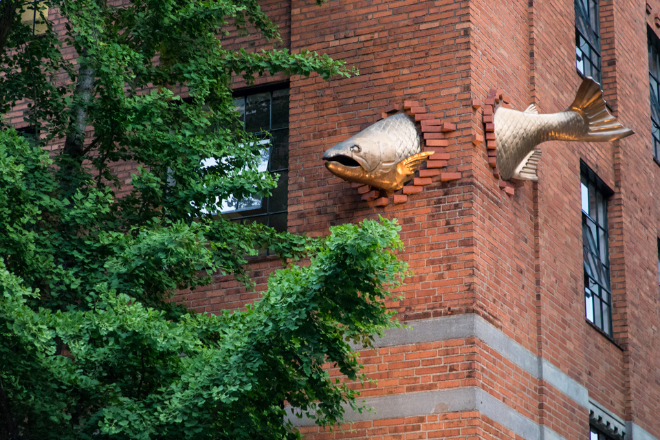 Fish in a Building