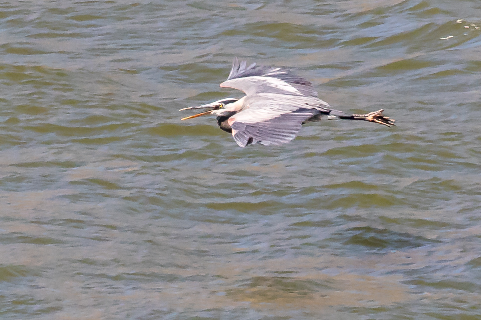 Low Flying