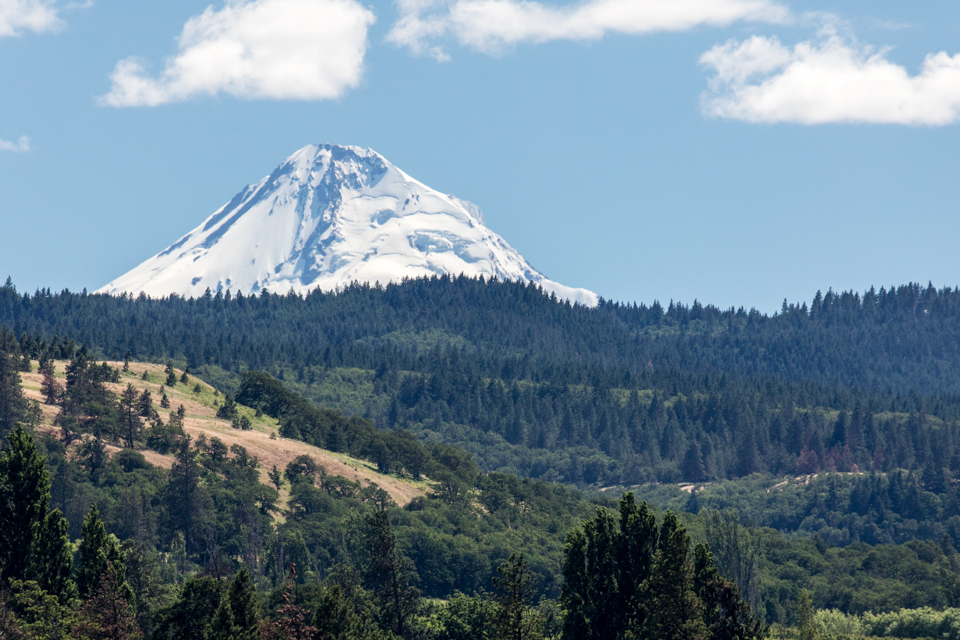 Mt Hood