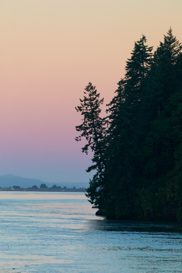 Trees to the Water